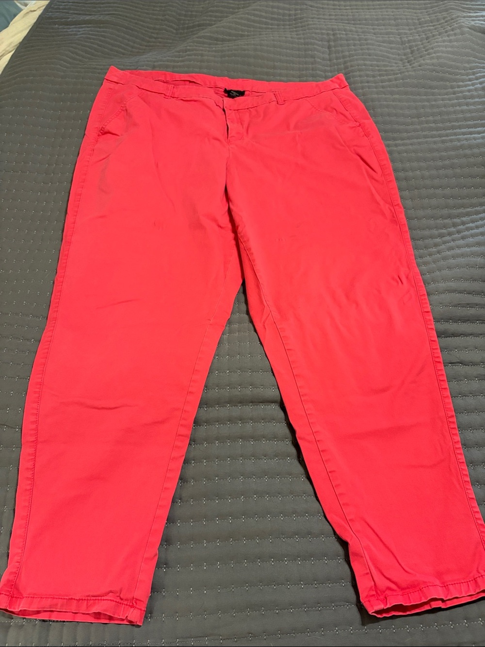 Lane Bryant Bright Coral Pink Cropped Pants